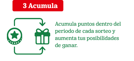 Paso 3